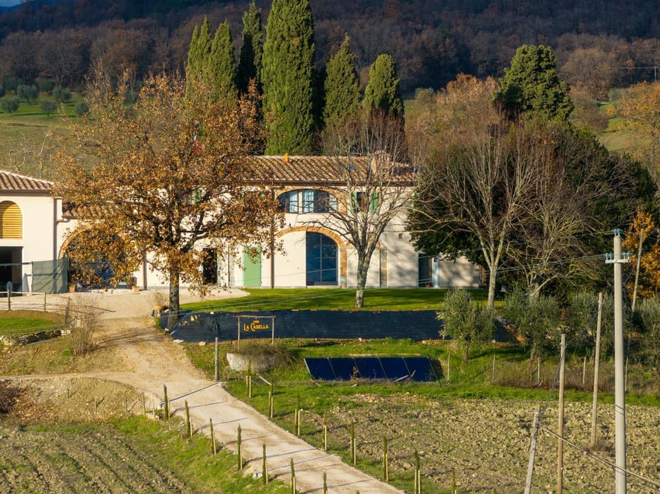 Property building, Garden