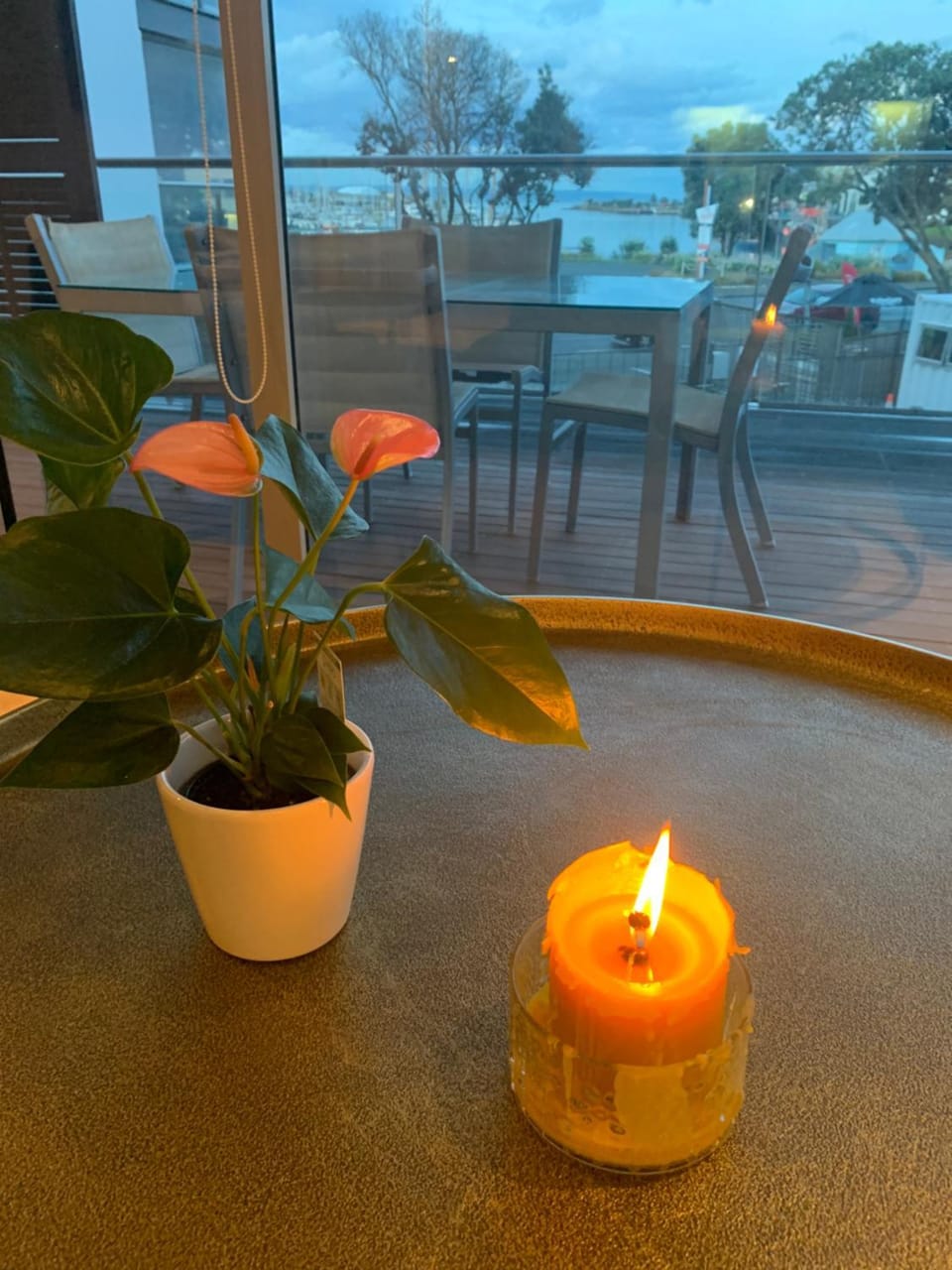 Location, location, location! Apartment in Napier
