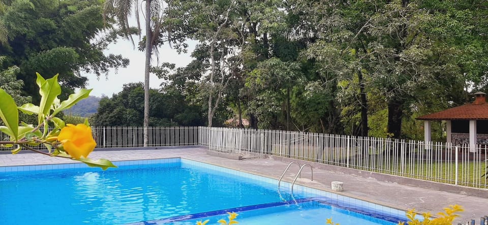 Spring, Day, Garden, Garden view, Pool view, Swimming pool