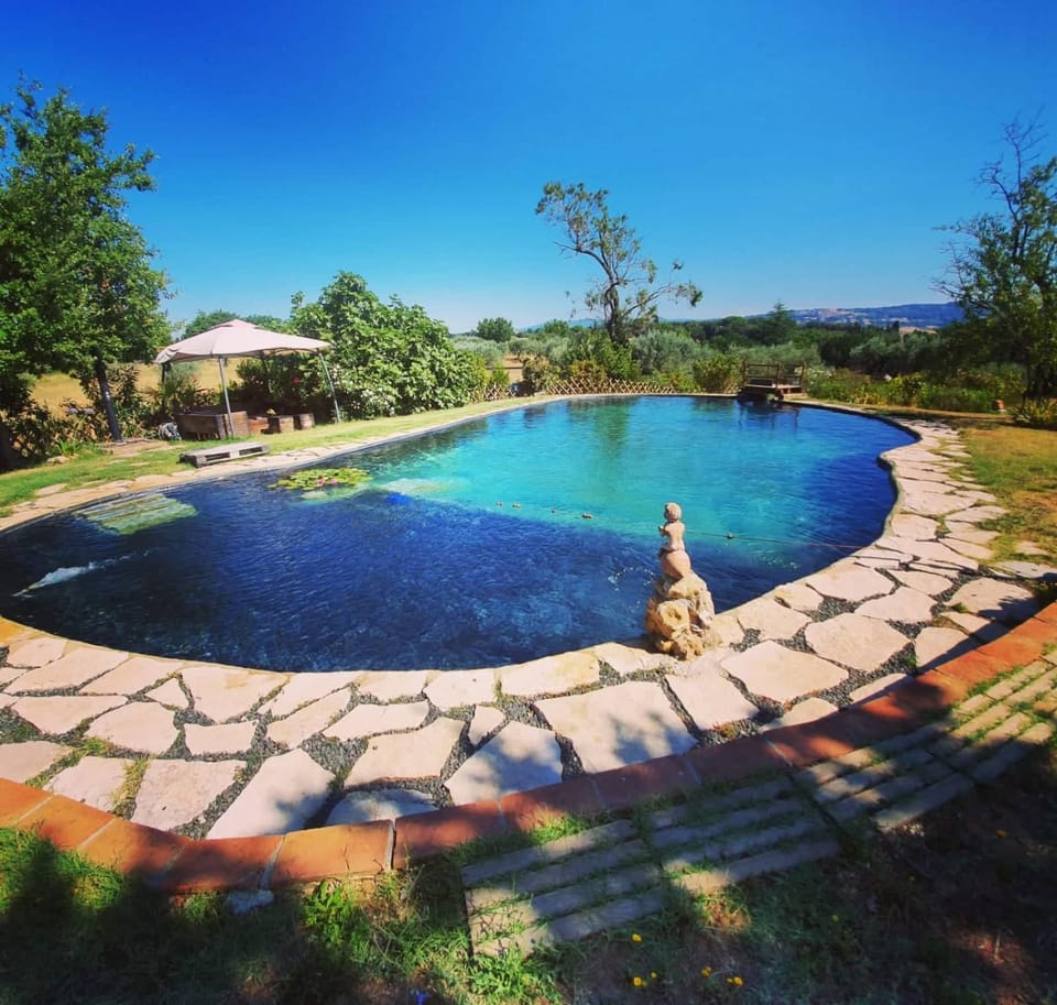 Pool view, Swimming pool
