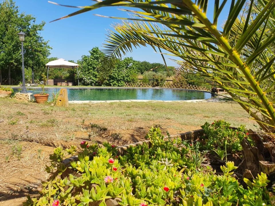Natural landscape, Garden, Swimming pool