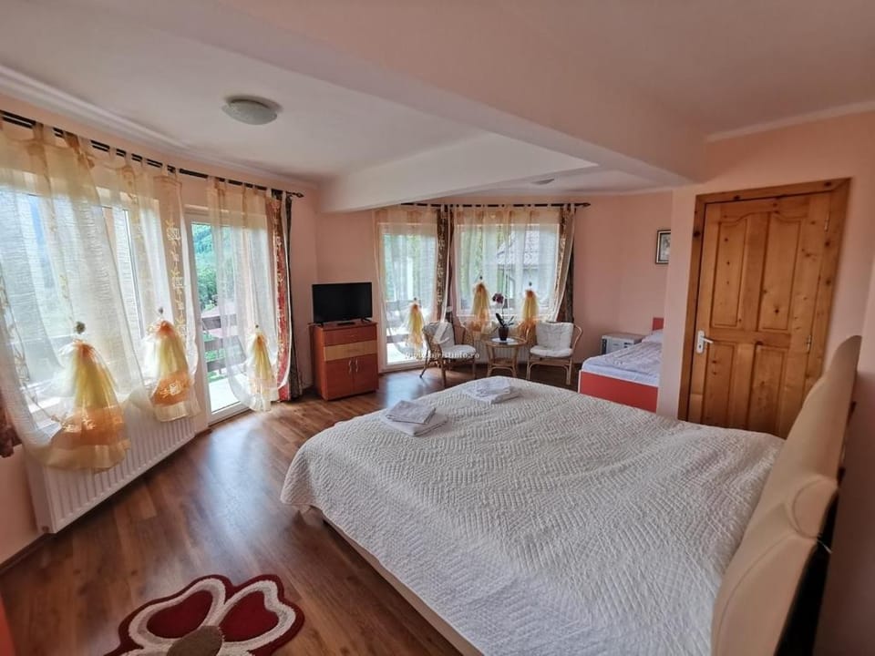 Casa Tamara Bed and Breakfast in Brașov County