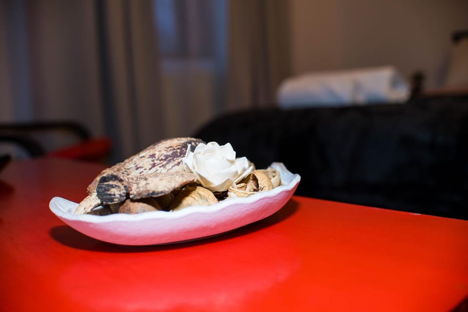 Bed, Food and drinks, Photo of the whole room, Bedroom