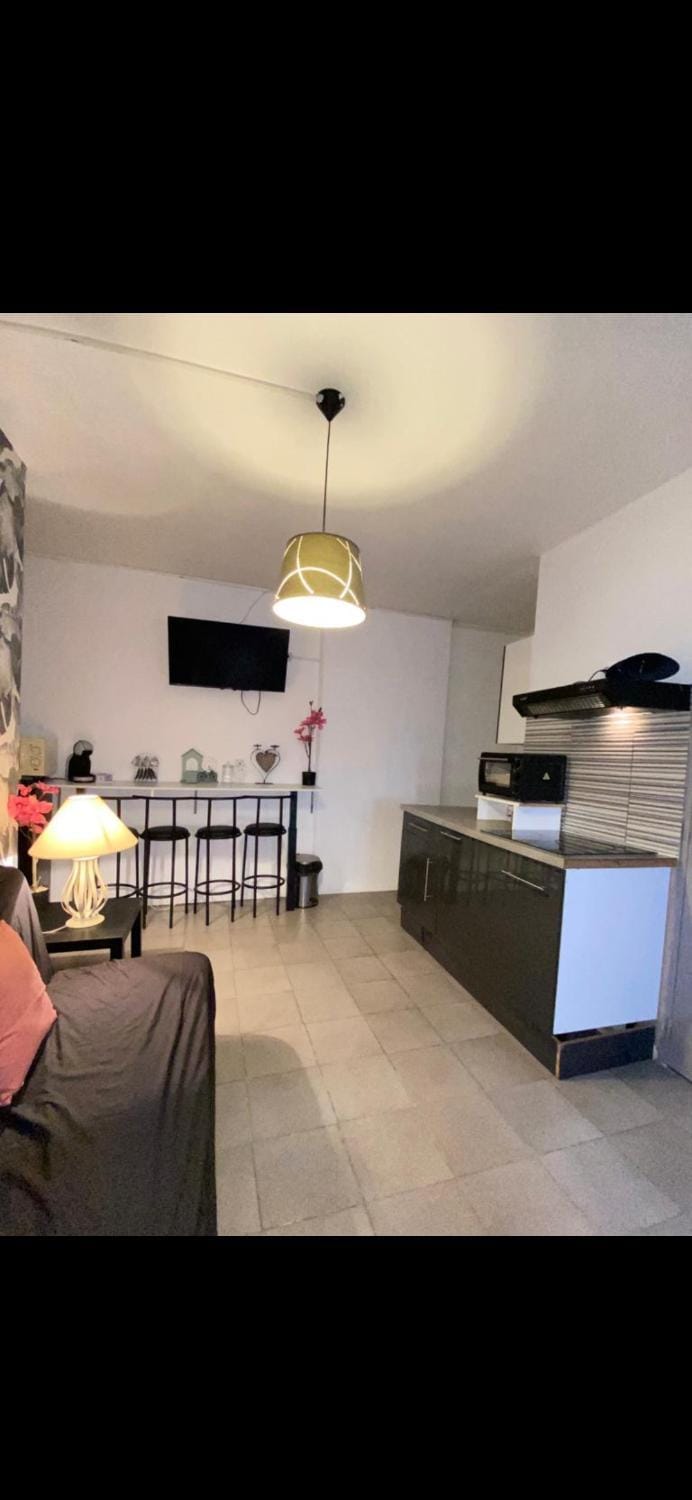 Belle appartement chaleureux à 2 mn à pied du tramway. Apartment in Saint-Étienne