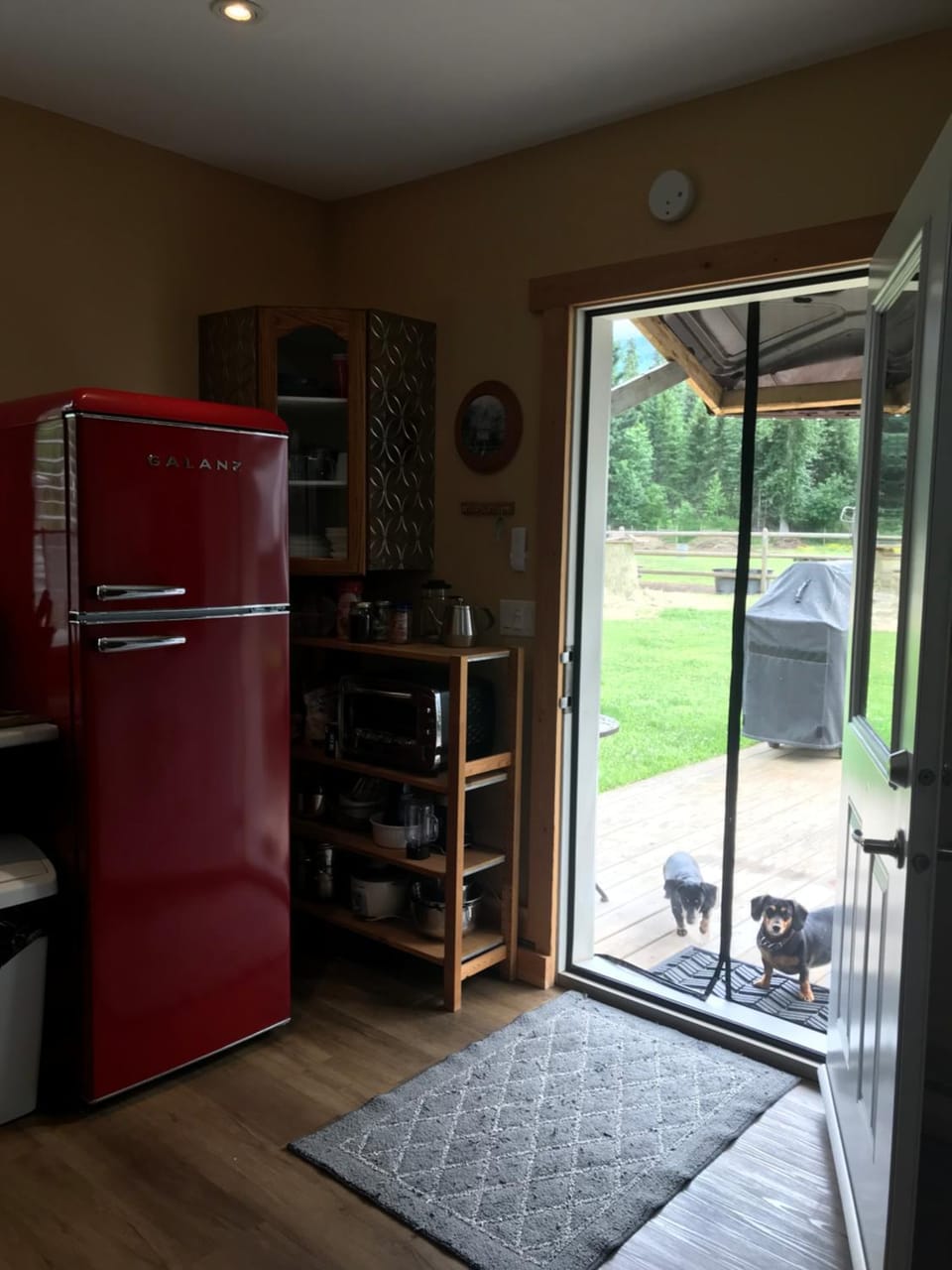 Kitchen or kitchenette