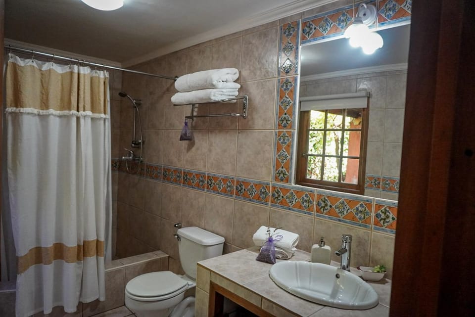 Shower, Toilet