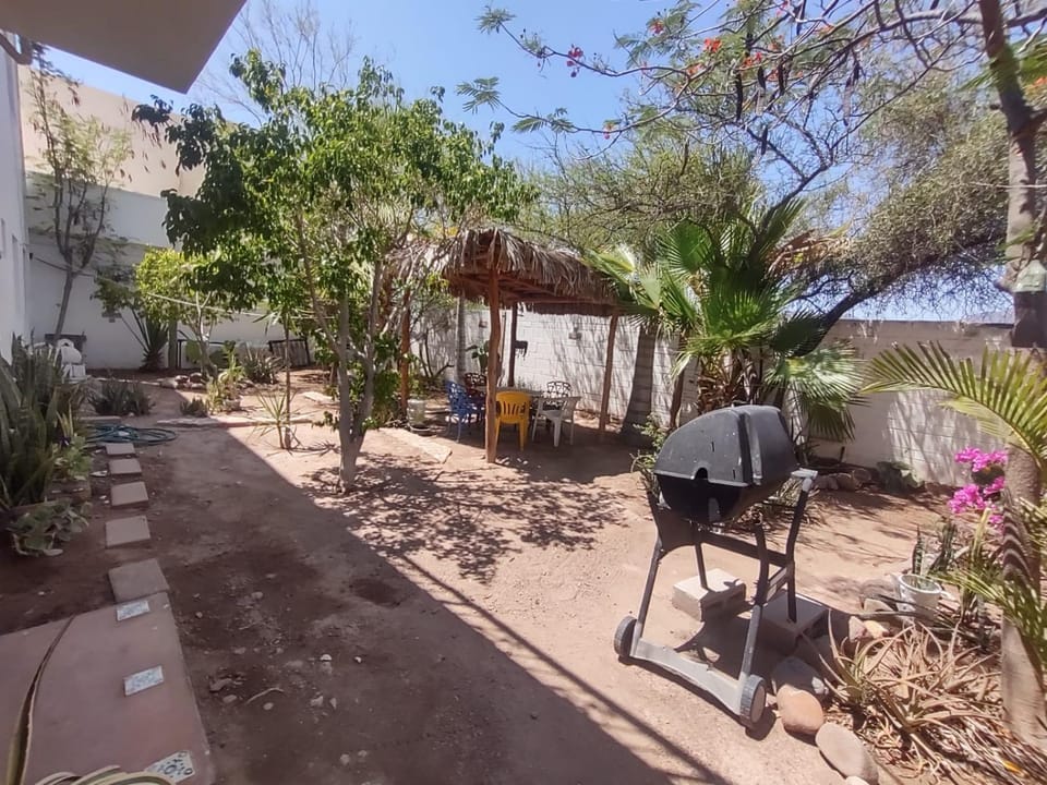 BBQ facilities