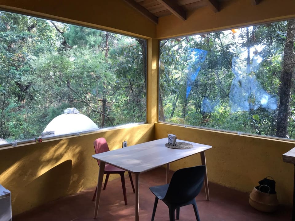 Day, Natural landscape, Garden, Dining area, Garden view