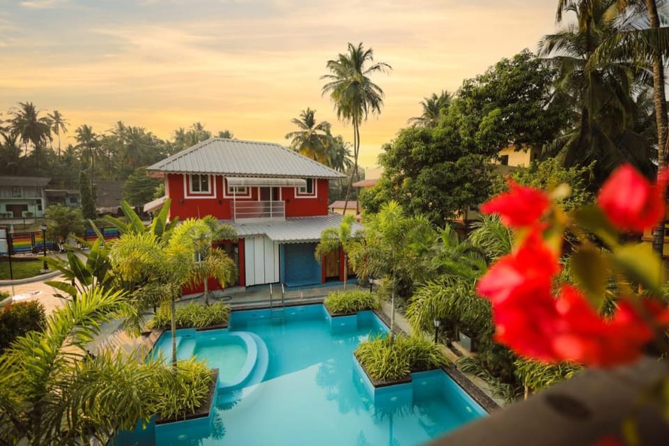 Garden, Garden view, Pool view, Swimming pool