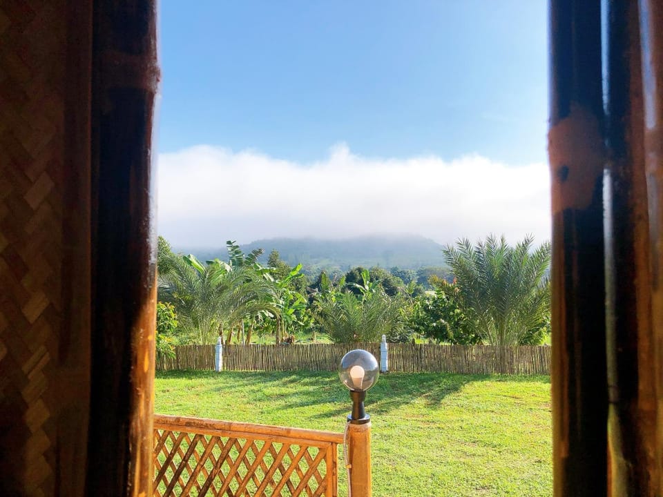 Garden view