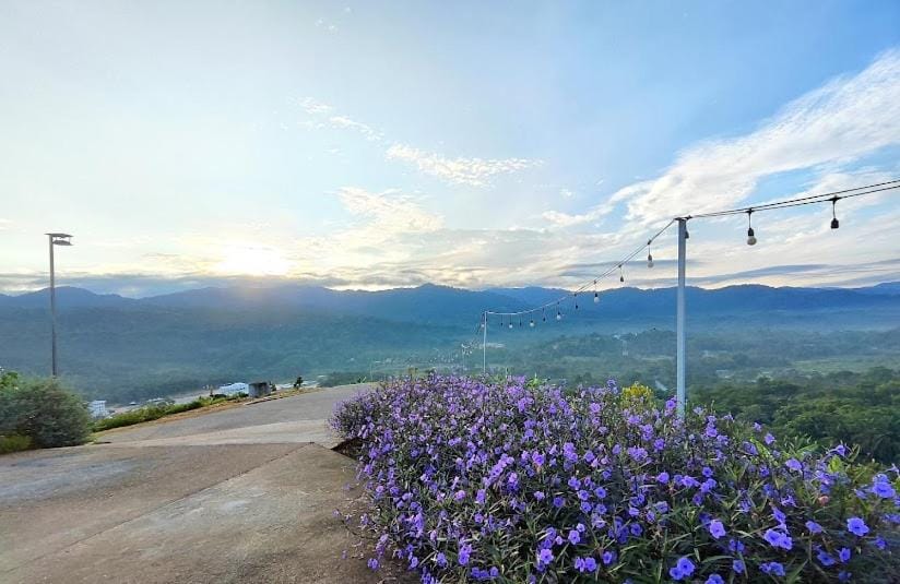 Spring, Natural landscape, Mountain view