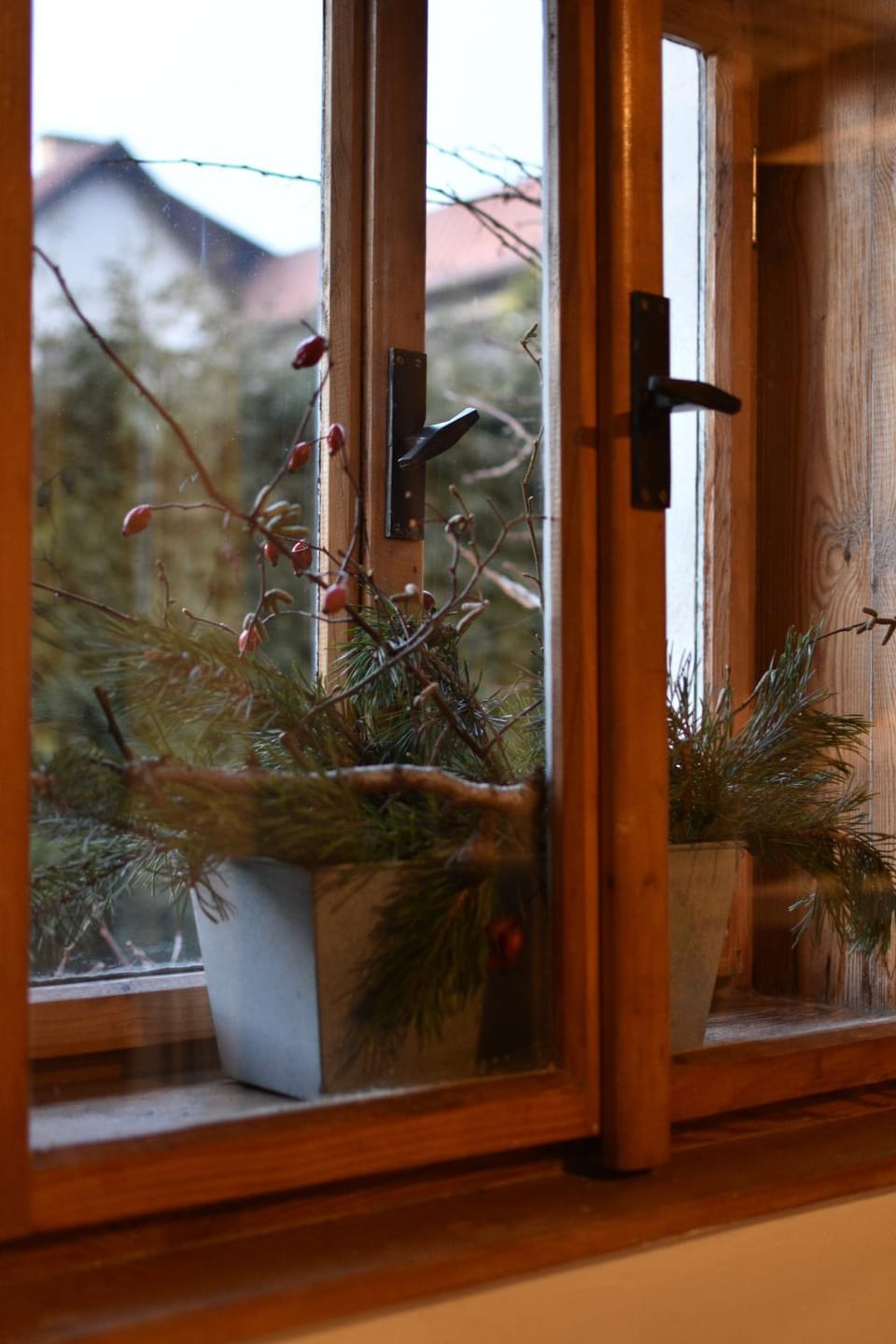 Winter, Garden view