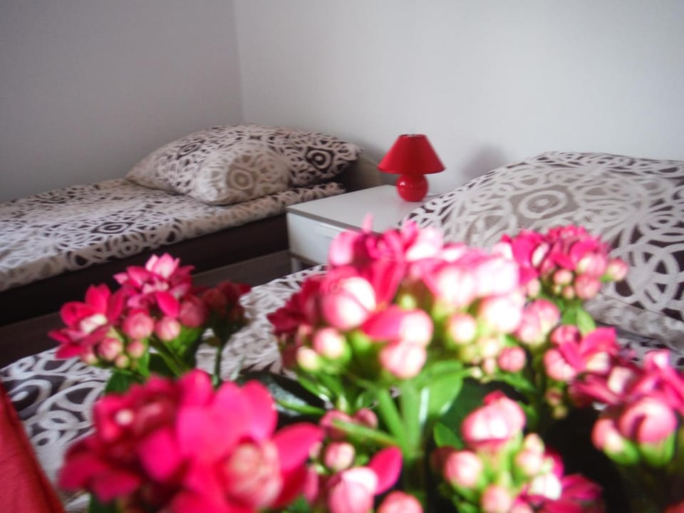Apartament Słoneczny Apartment in Sopot