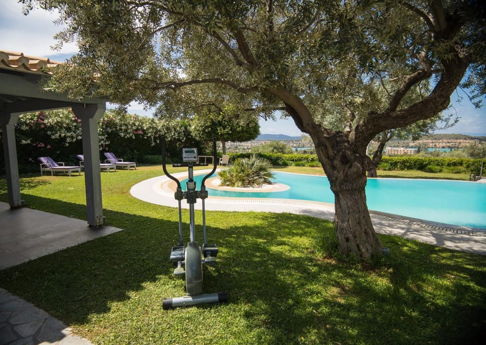 Garden, Garden, Pool view, sunbed