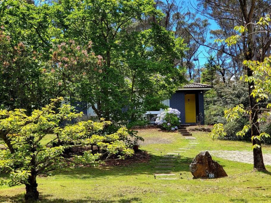 The Yellow Koala - Vibrant Home in Medlow Bath House in Medlow Bath