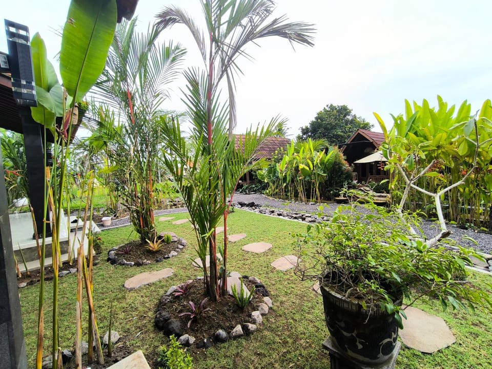 Natural landscape, Garden, Garden view
