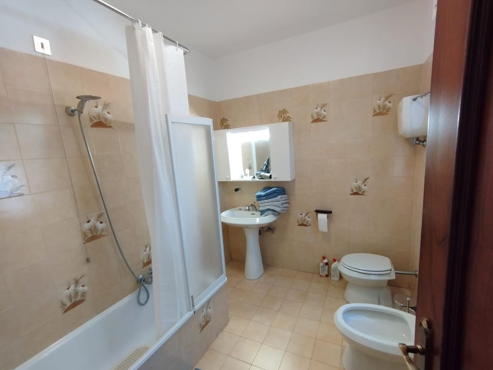 Shower, Toilet, Bathroom, bidet