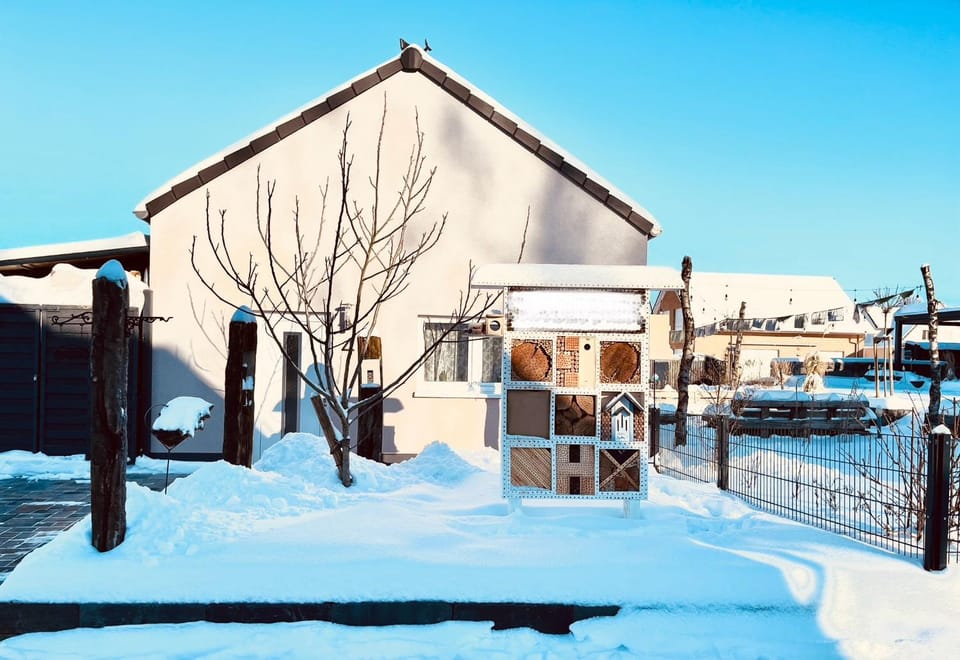 Property building, Day, Winter