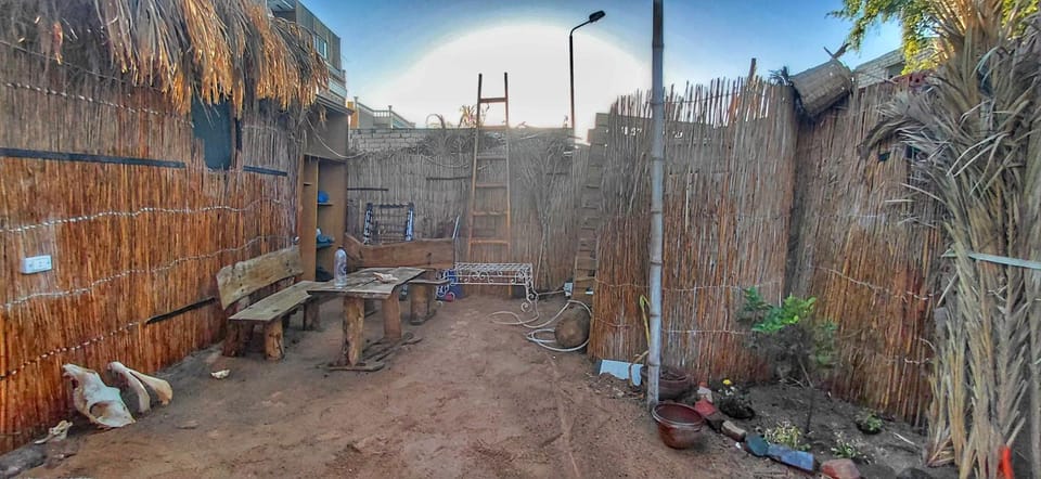 Patio, Day