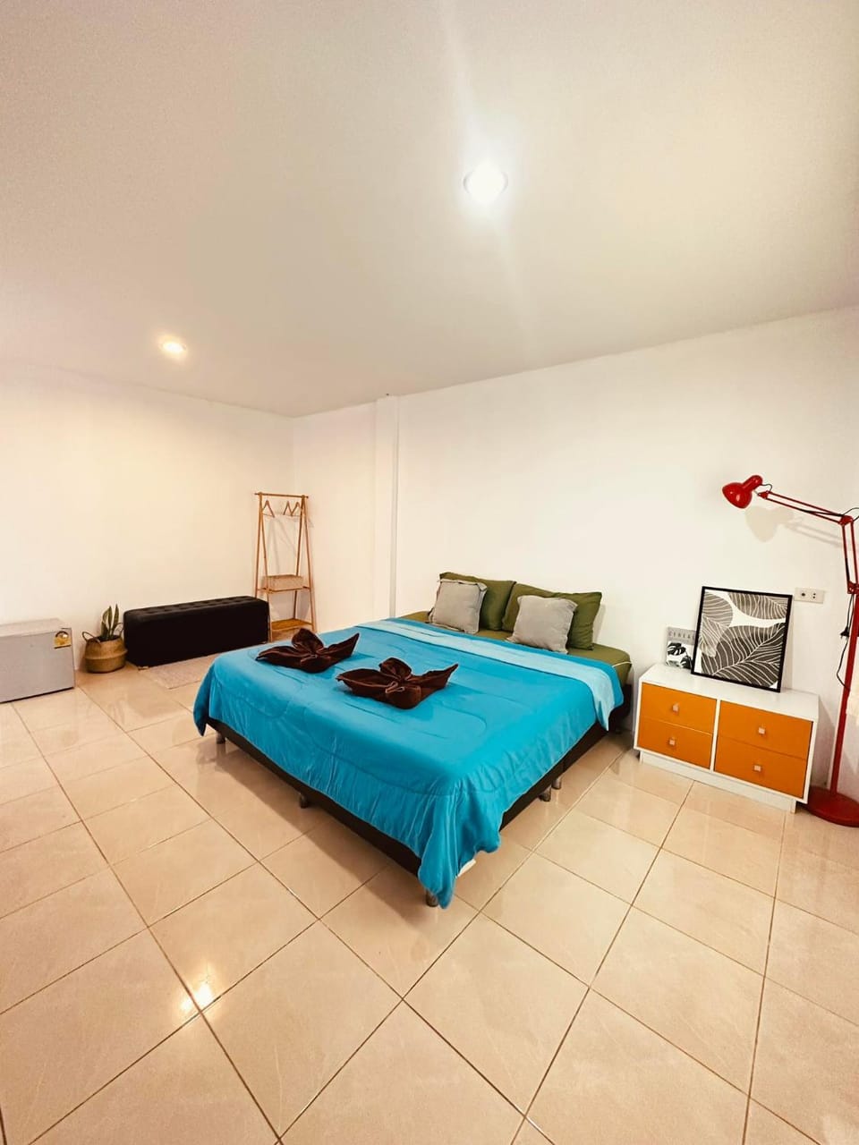 Photo of the whole room