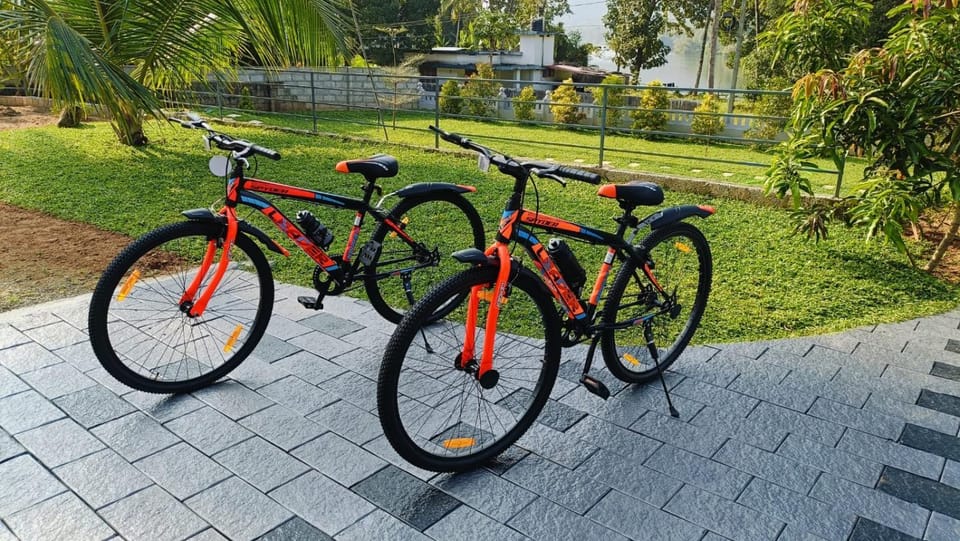 Day, Garden, Cycling, Garden view
