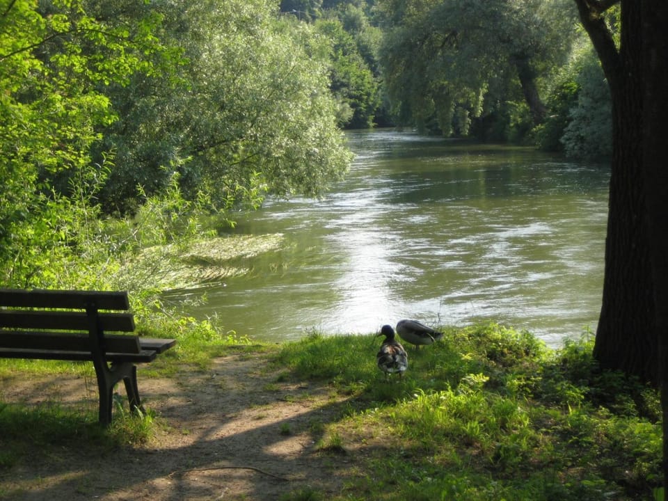 Natural landscape
