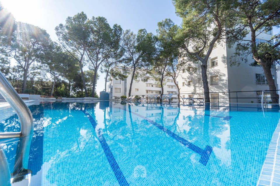 Swimming pool, Swimming pool
