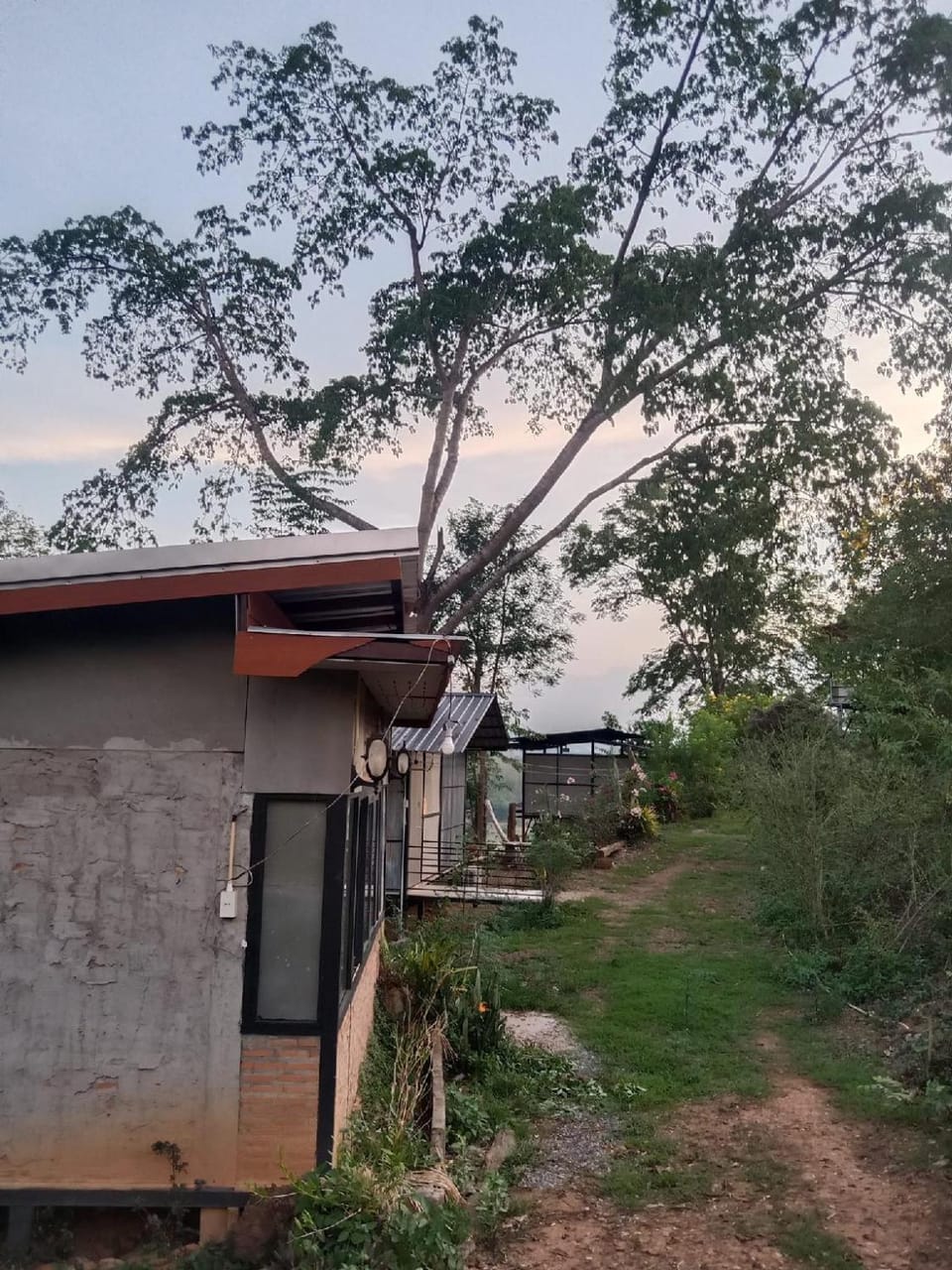 Doi Sang Farm Stay - ดอยซางฟาร์มสเตย์ Bed and Breakfast in Thailand
