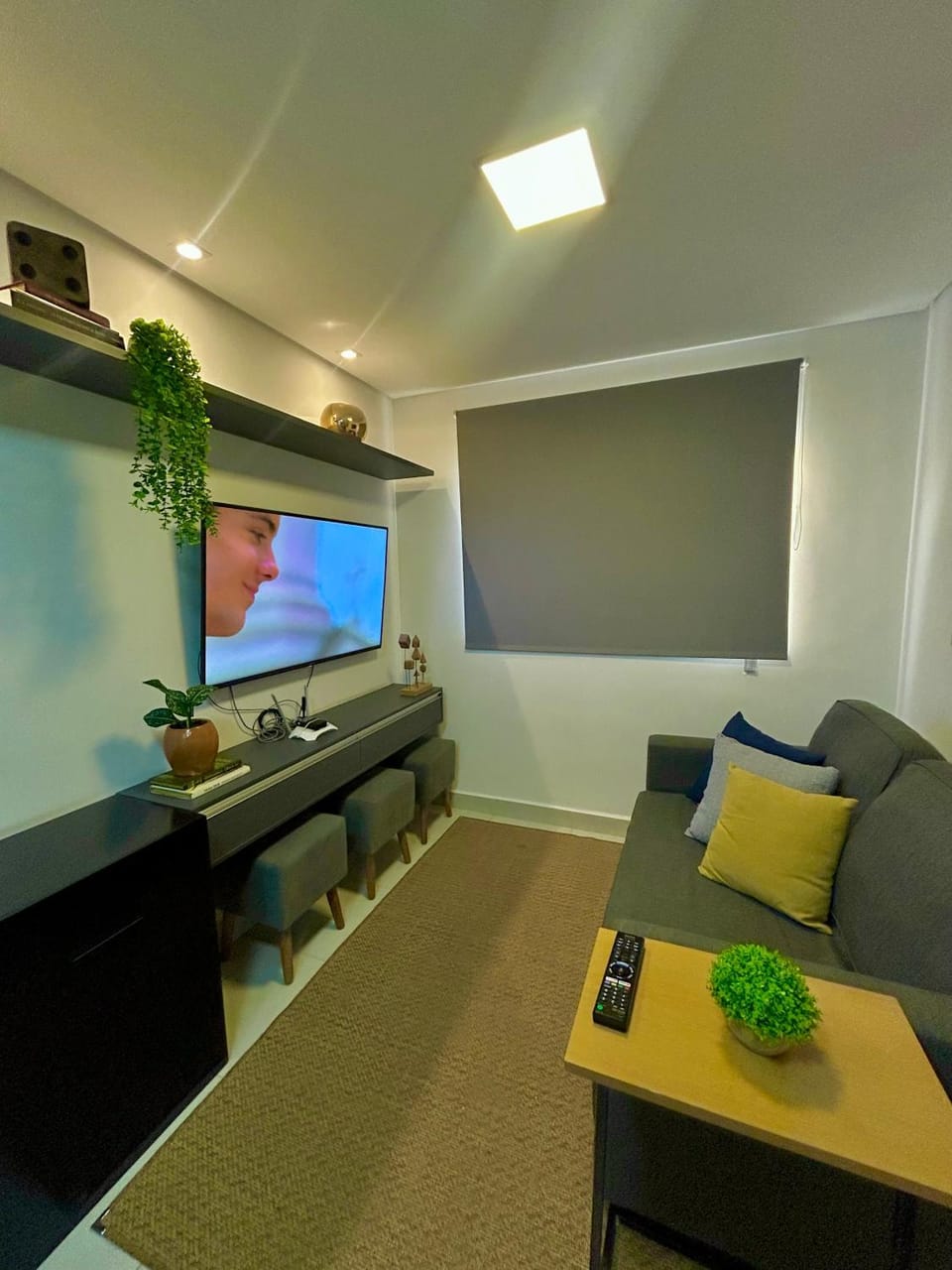 TV and multimedia