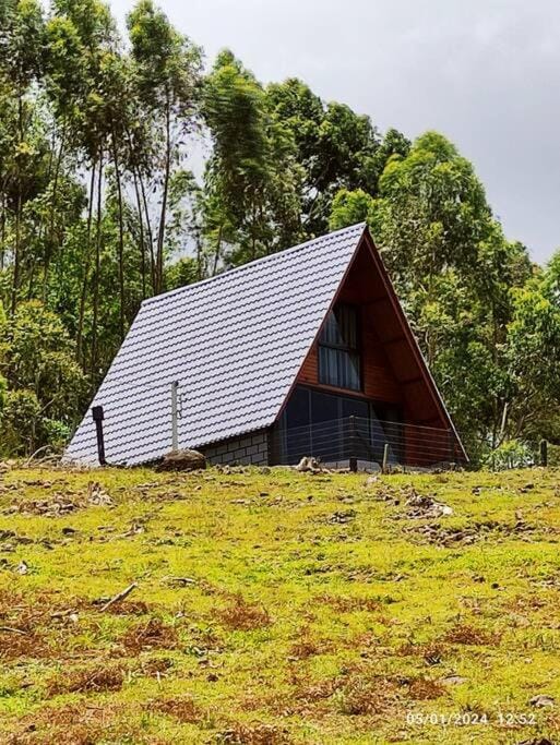 Cabana com hidro e natureza! House in State of Santa Catarina