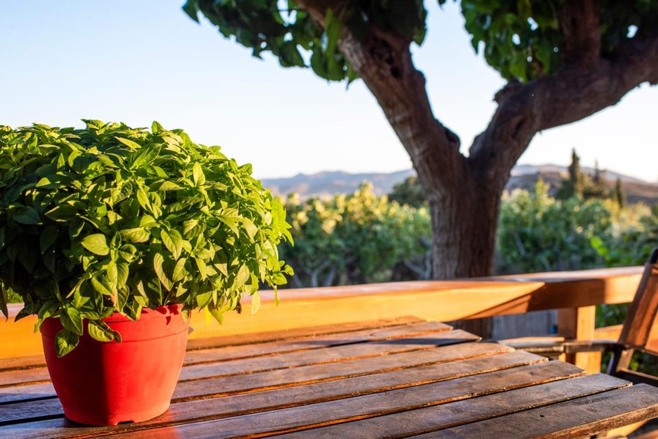 Natural landscape, Garden, Garden view, Sea view