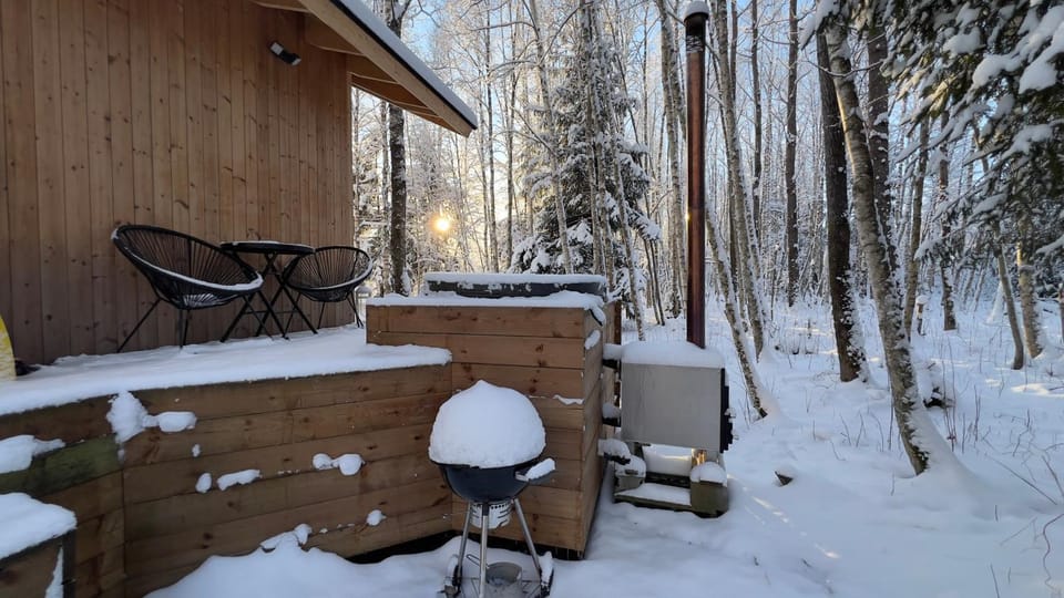Paunküla Nature Resort (forest villa) Bed and Breakfast in Harju County, Estonia