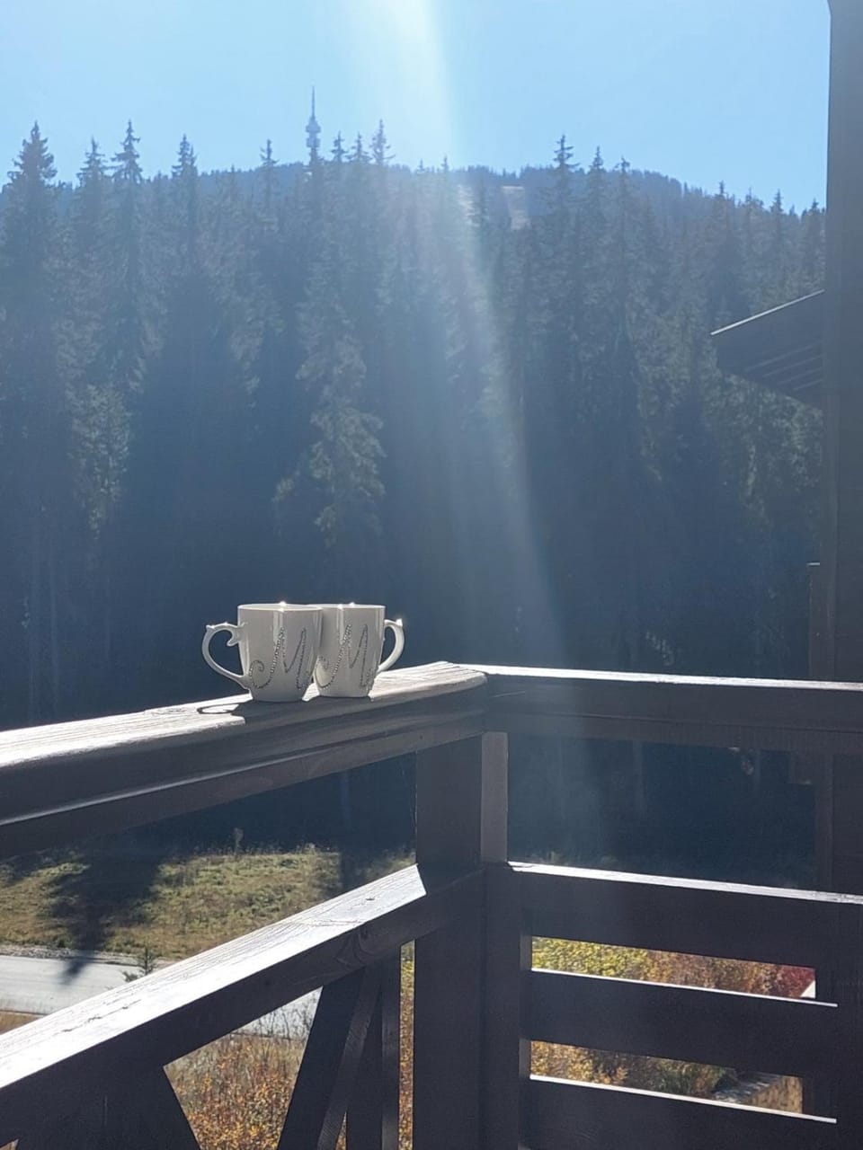 Studio Elegance Pamporovo Apartment in Decentralized Administration of Macedonia and Thrace