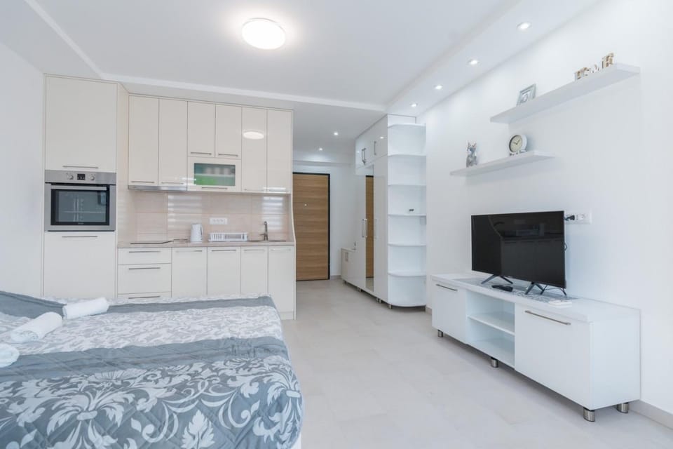 Crnjanski Paun L Apartment in Serbia