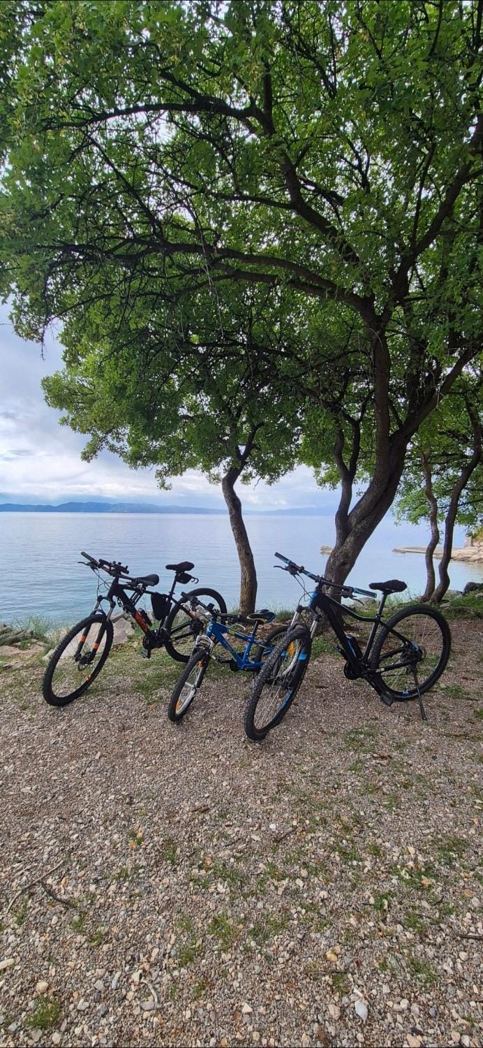 Cycling