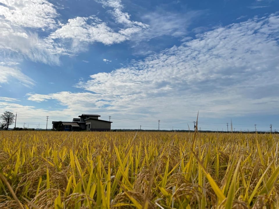 Tanonagano Yadokko - Vacation STAY 62252v Bed and Breakfast in Japan
