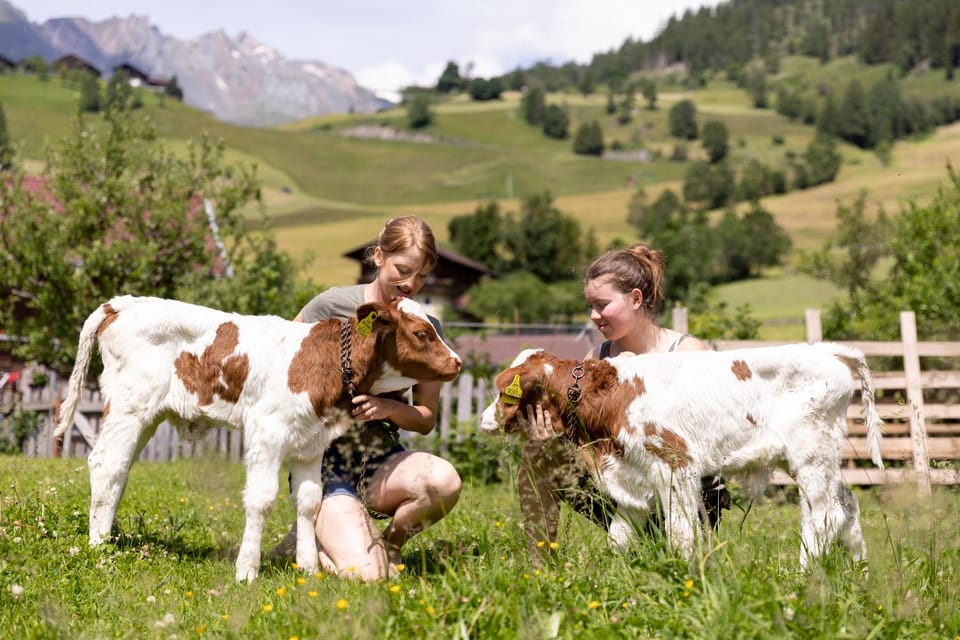 Animals