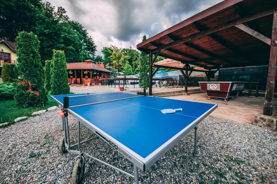 Day, Table tennis
