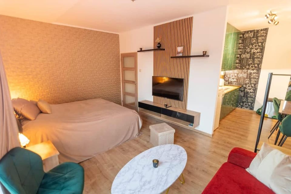 Bed, TV and multimedia, Living room, Photo of the whole room, Seating area, Bedroom