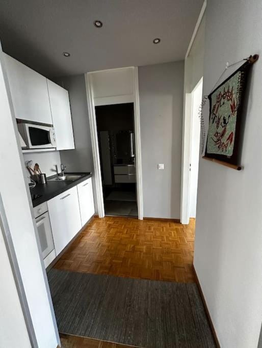 Paradise Lake View Apartment in Lugano