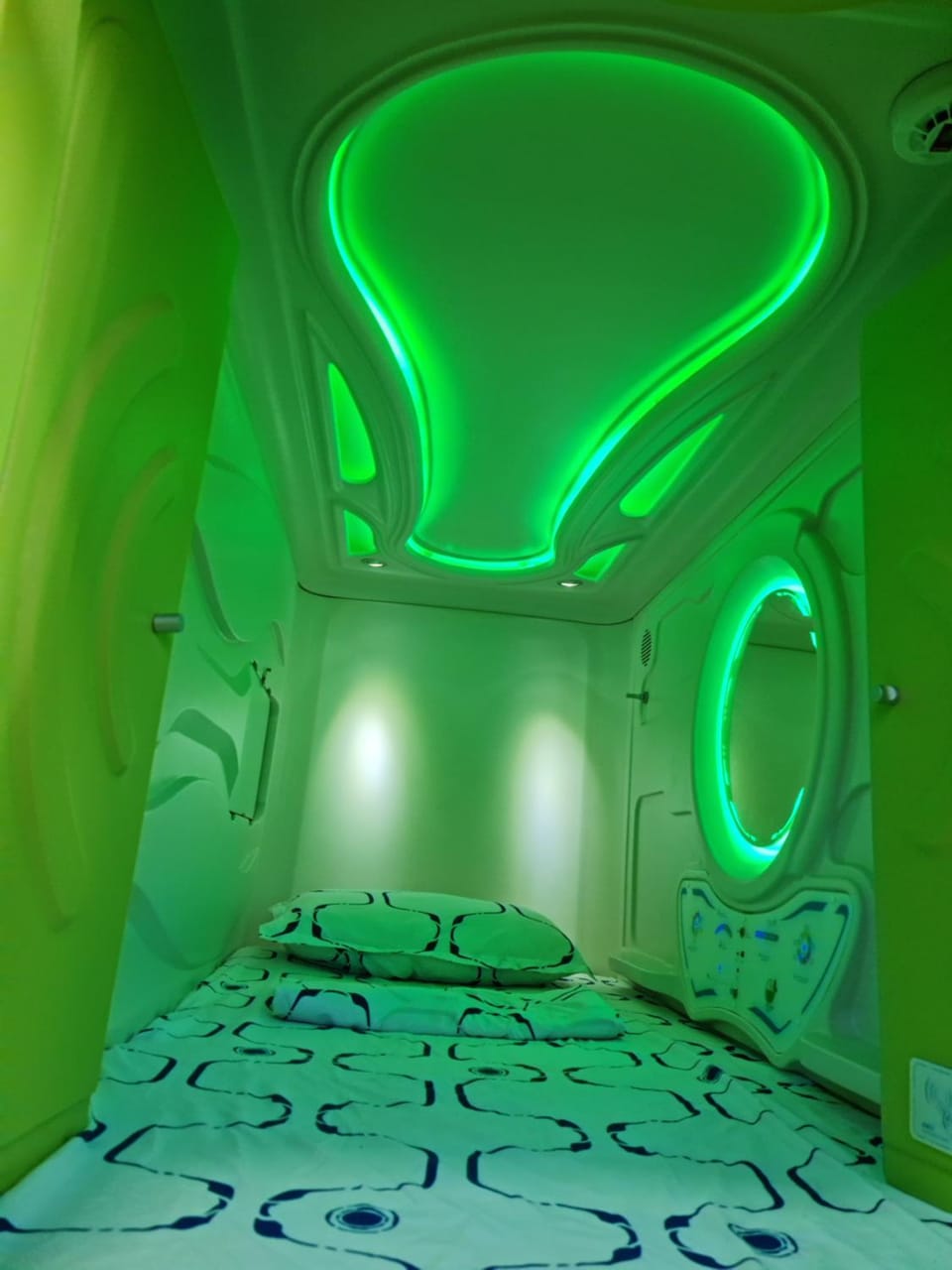 Bed, Photo of the whole room, Bedroom, bunk bed