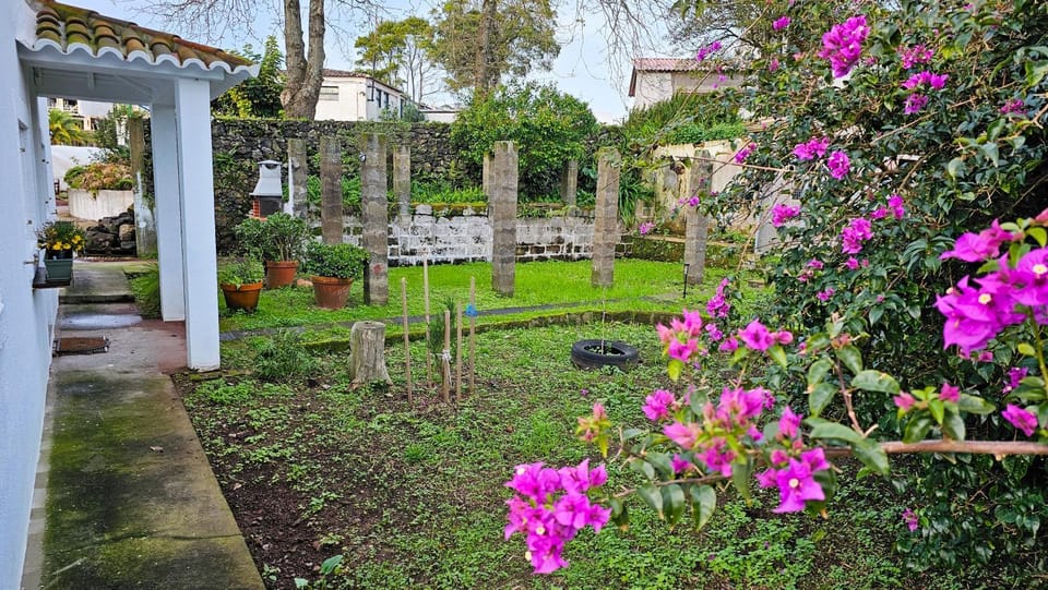 Garden, Garden, Garden view
