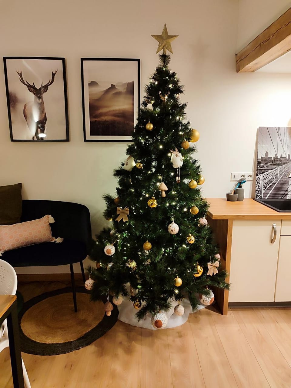 Le chaleureux loft 1 minute du tram Apartment in Strasbourg