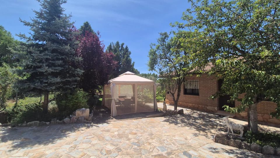 Garden, Garden view