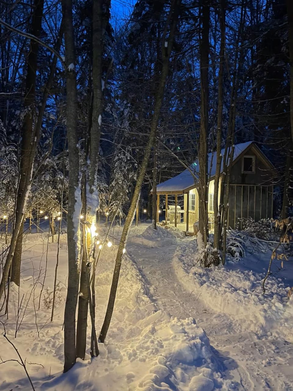Property building, Night, Natural landscape, Winter