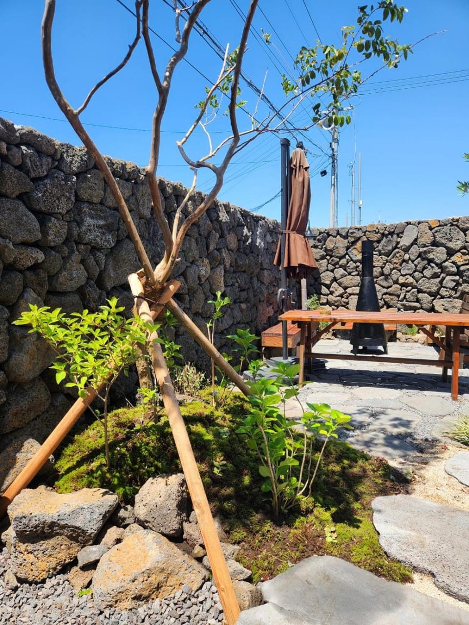 Property building, Garden view