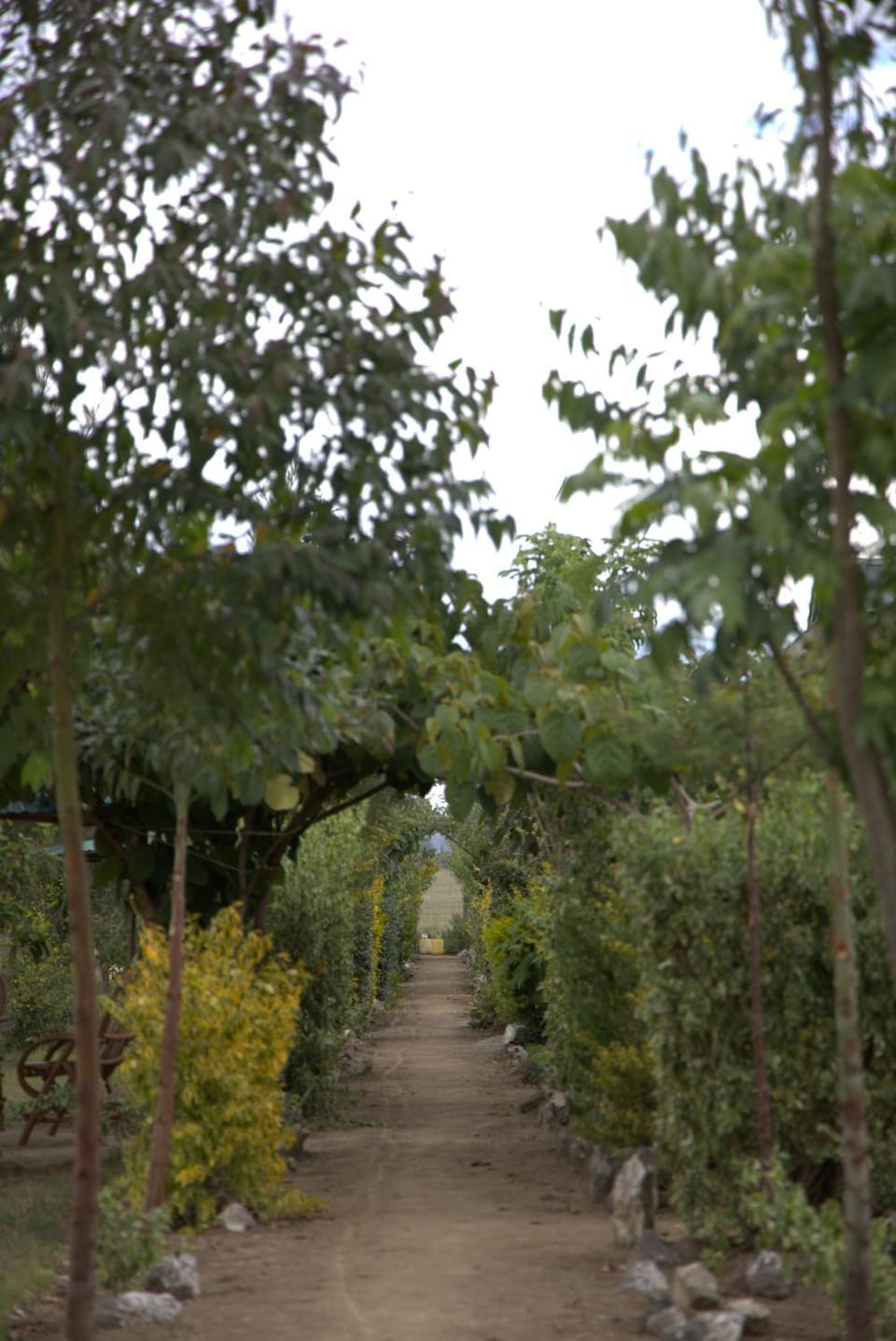 Day, Natural landscape