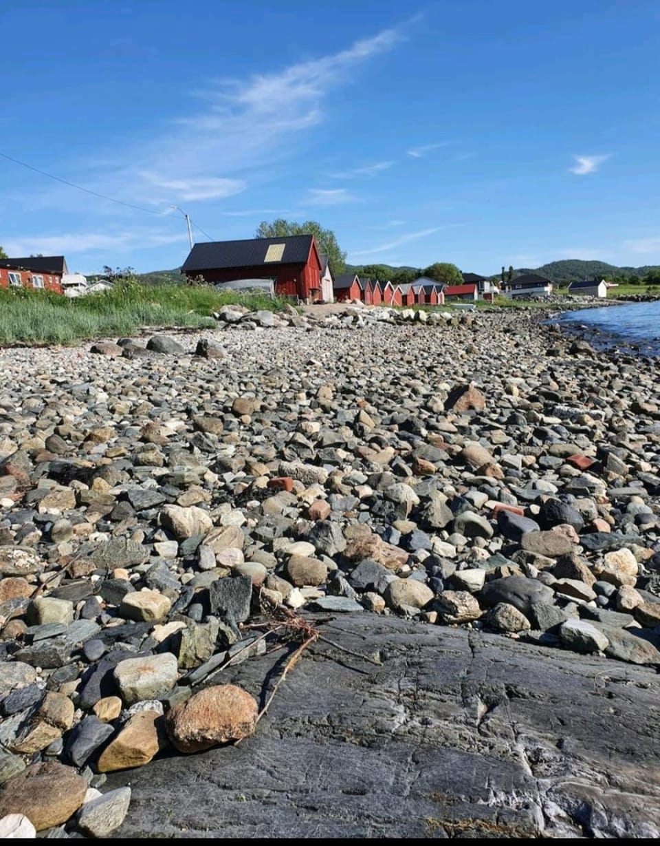 Natural landscape