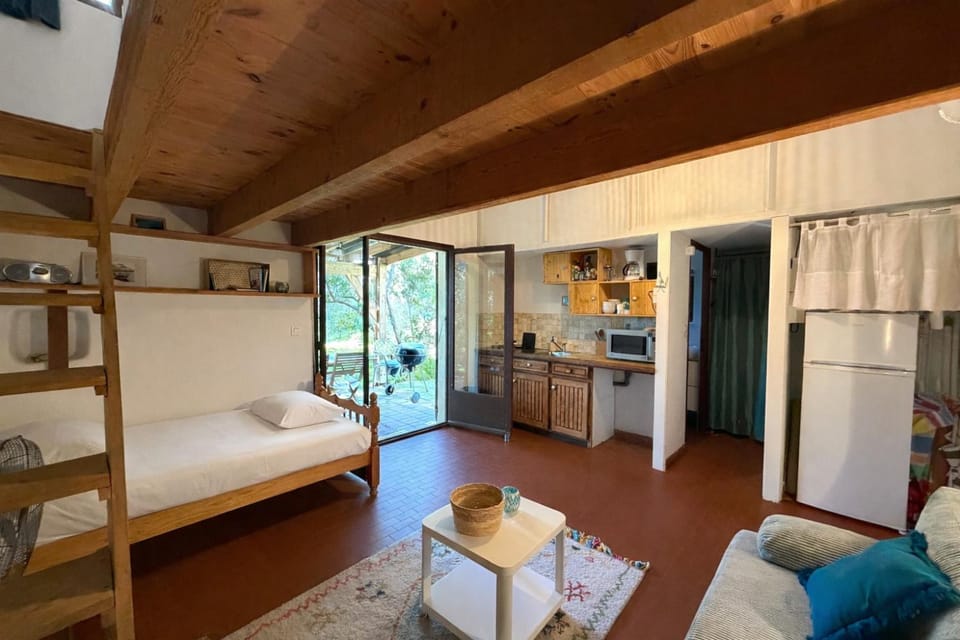 Living room, kitchen