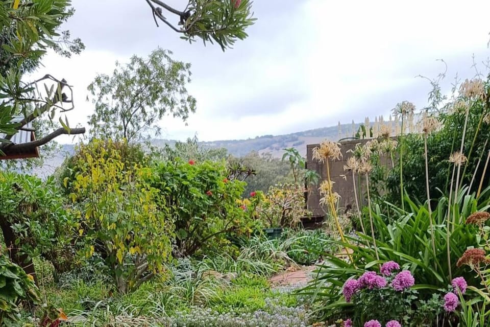 Blackbird Cottage - Stunning views & farm animals House in Tanunda